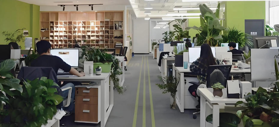 鼎盛企划国际公司轮播图2