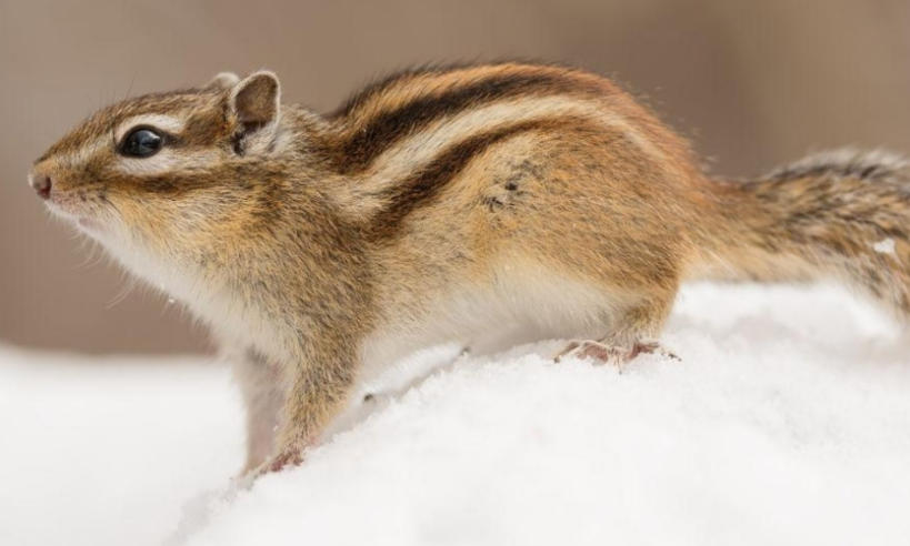 鼎盛企划国际公司轮播图4