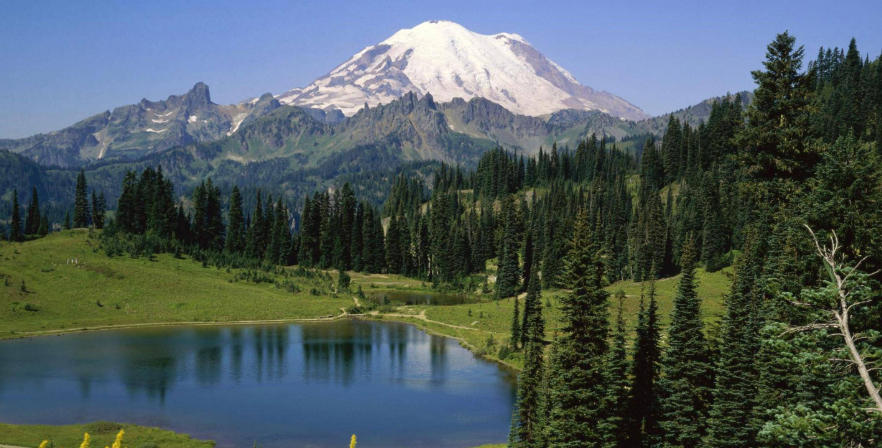 鼎盛企划国际公司轮播图3